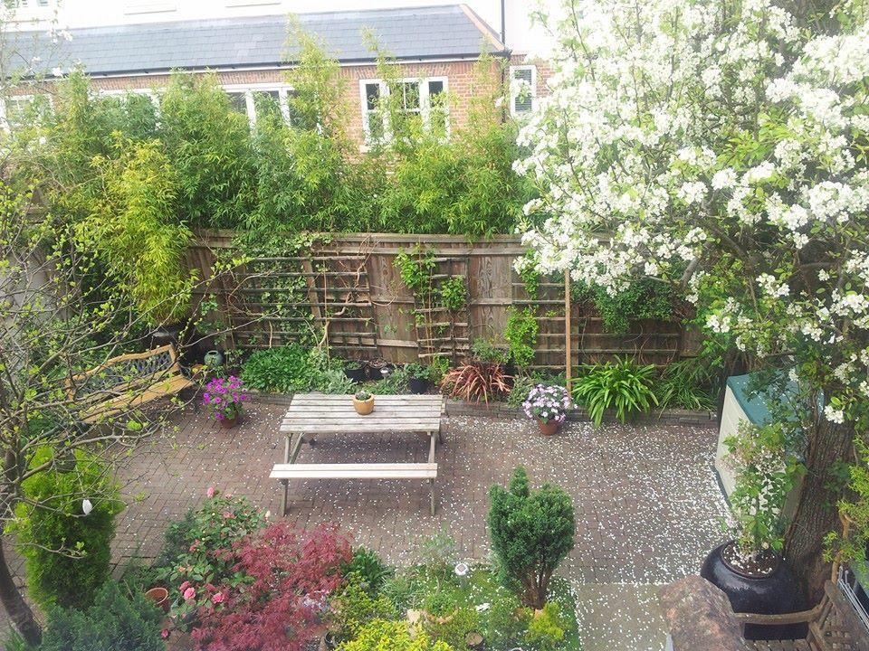 Compton Guest House London Luaran gambar