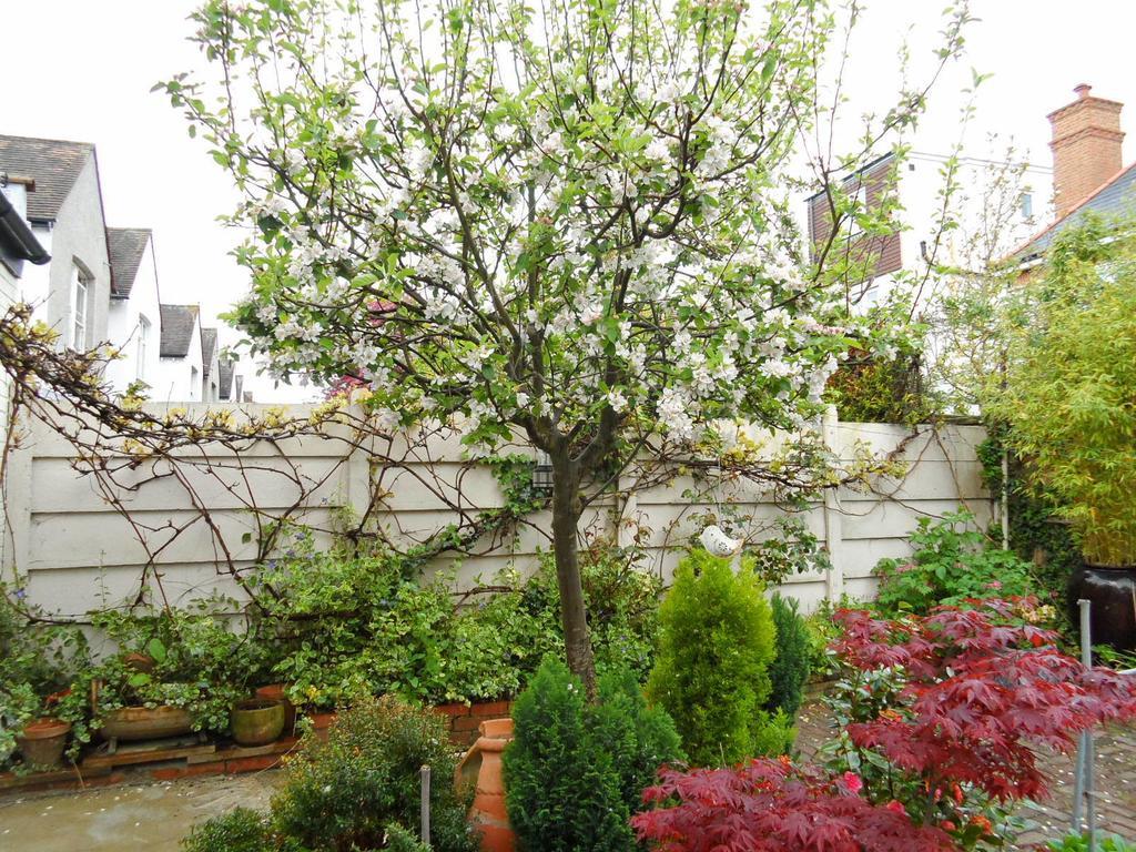 Compton Guest House London Luaran gambar